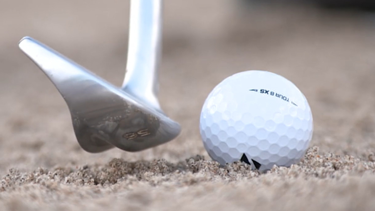 Seychelles dual purpose wedge sales